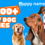 1,000+ Boy dog names, Puppy names boy